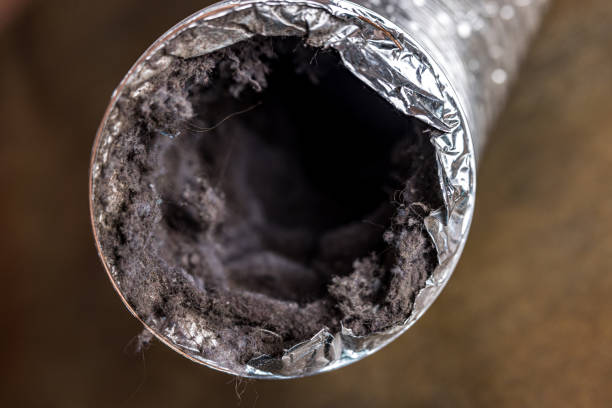 Best Residential Air Duct Cleaning  in Evansburg, PA