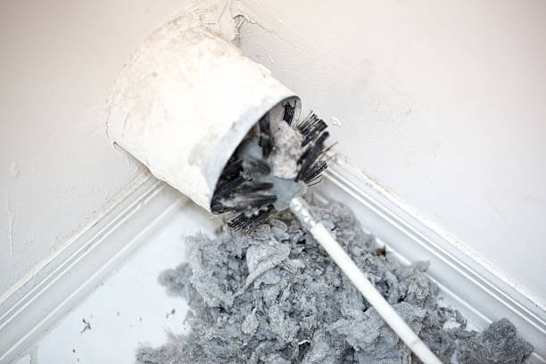 Air Duct Mold Removal in Evansburg, PA